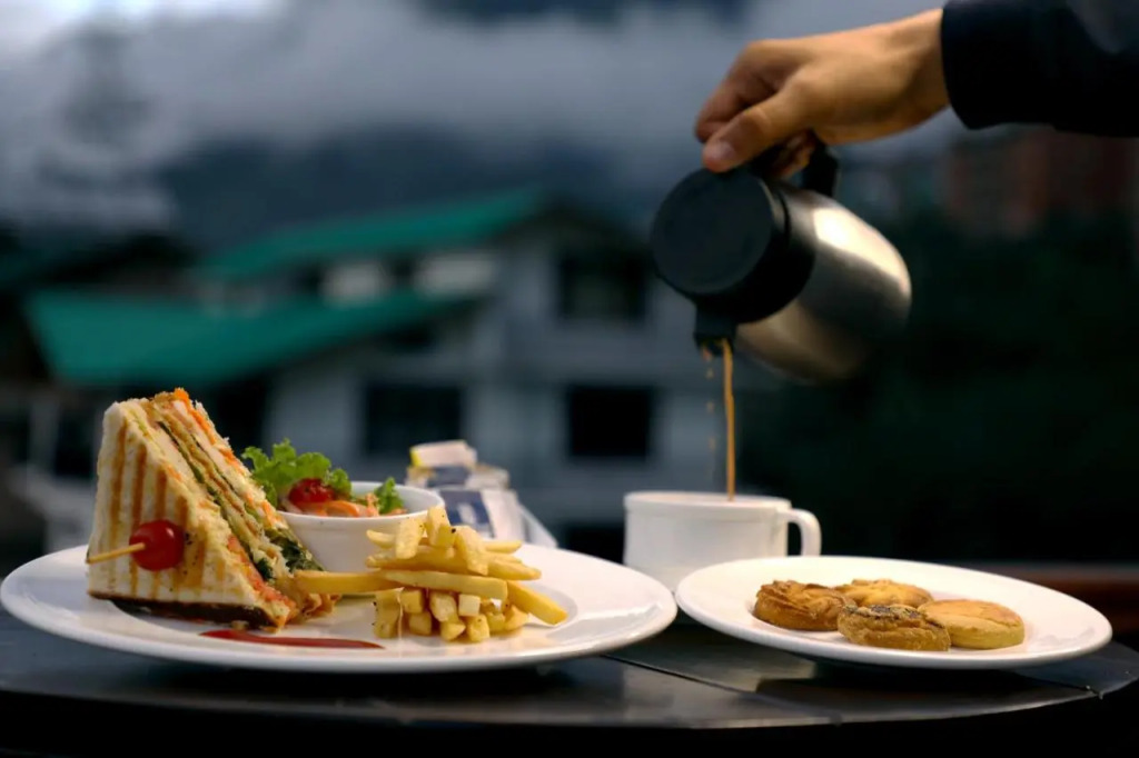 The Orchid Manali - a Boutique Hotel