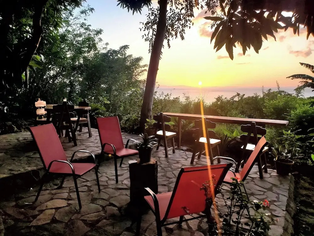 The Jungle Lodge