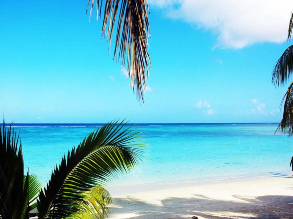 Beach Cove 4