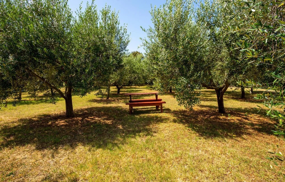 Amazing Home in Liznjan With Wifi and 2 Bedrooms