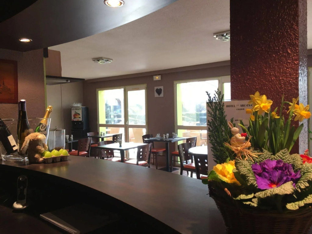 Hotel Arc-En-Ciel Colmar Contact Hotel