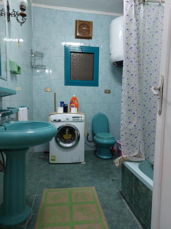 1 bedroom apartment in the heart of Cairo , just 15 minutes from the airport