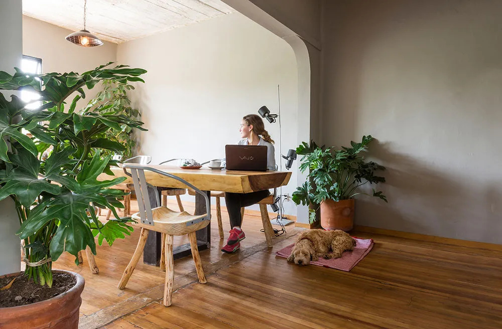 Chaya B & B Boutique