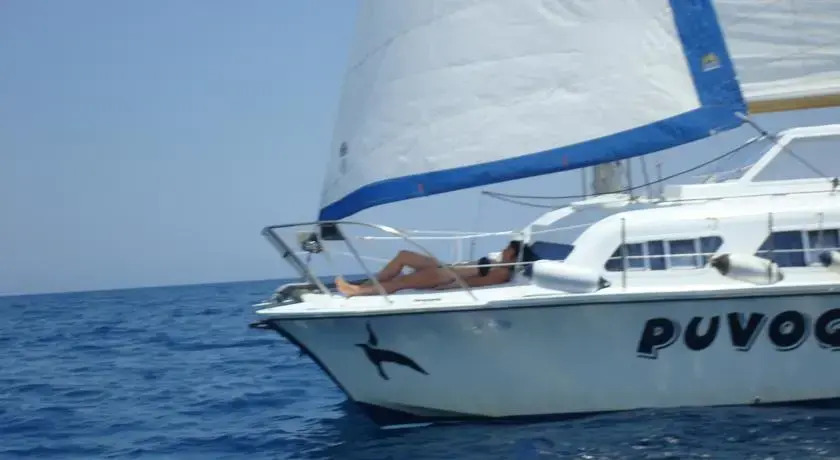 Sailboat Puvogel