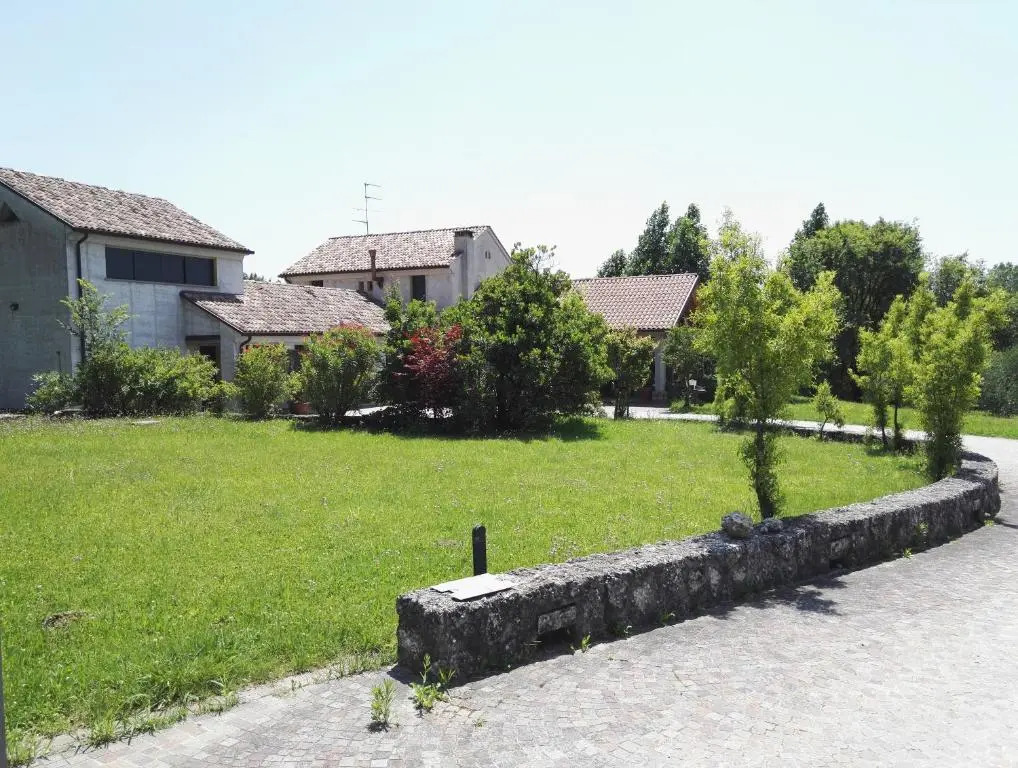 Il giuggiolo