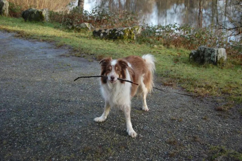 Creag Mhor Self Catering Holiday Apartment