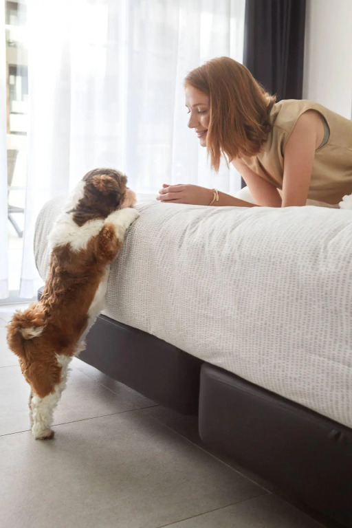 INNSiDE by Meliá Aachen