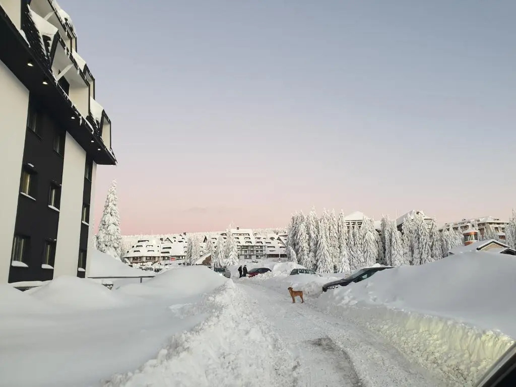 Apartman Noalux 2 Kopaonik