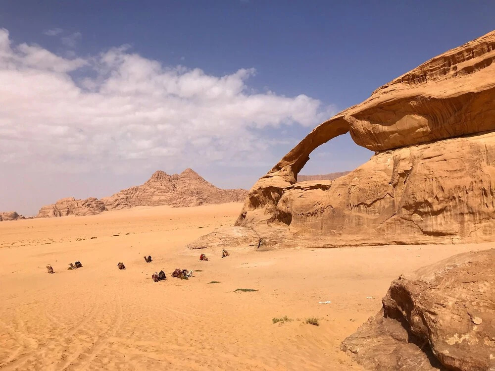 Um Al Tawaqi