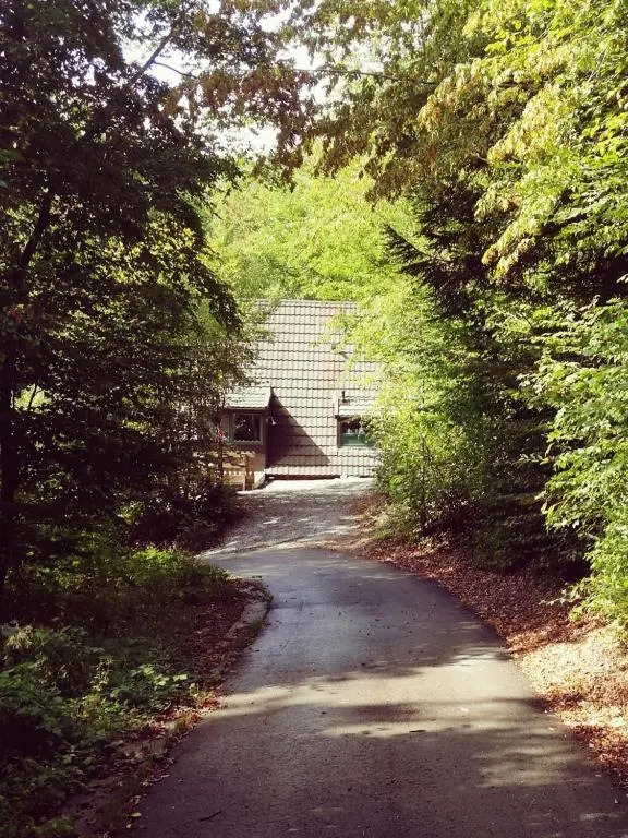 Chalet Woods
