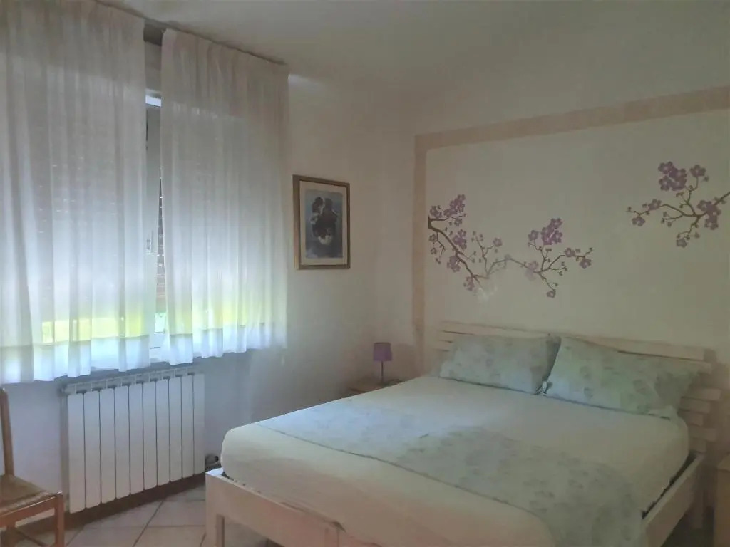 Collina degli Olivi