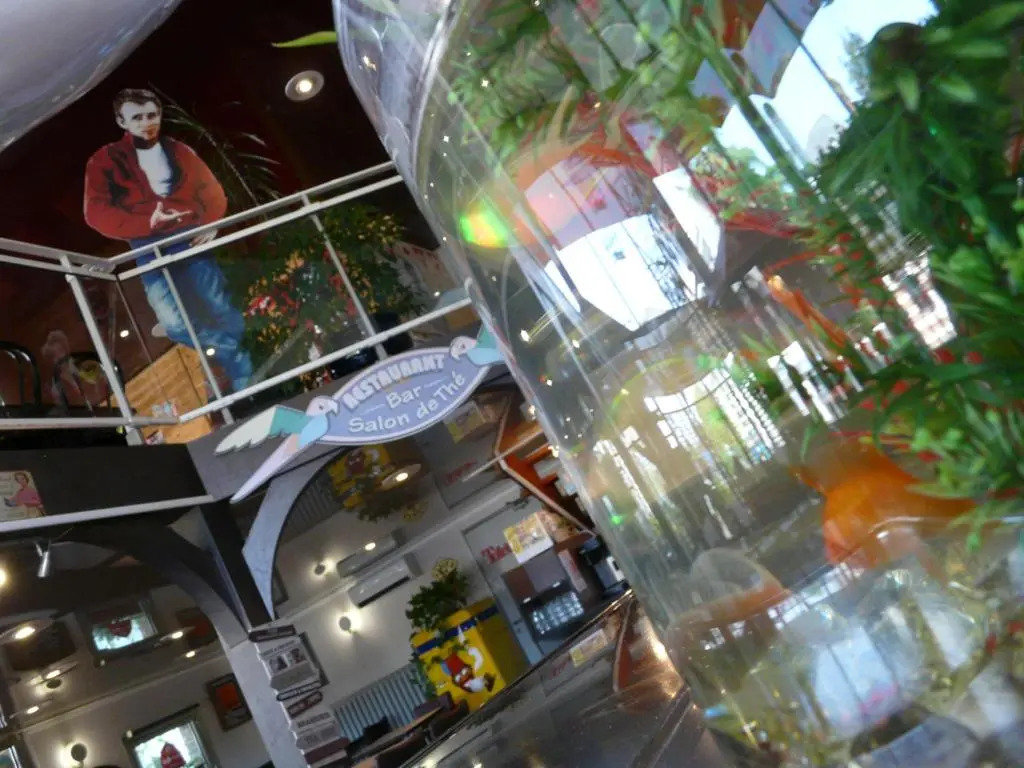 Arche Hotel