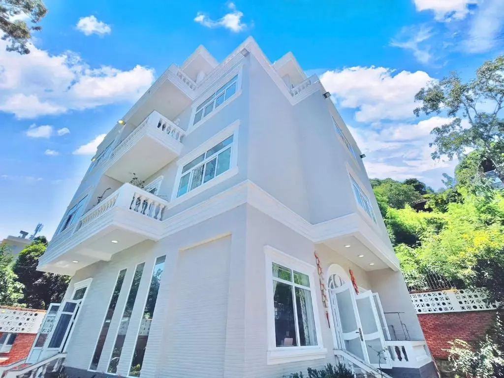 Palm Villa 40- Luxury