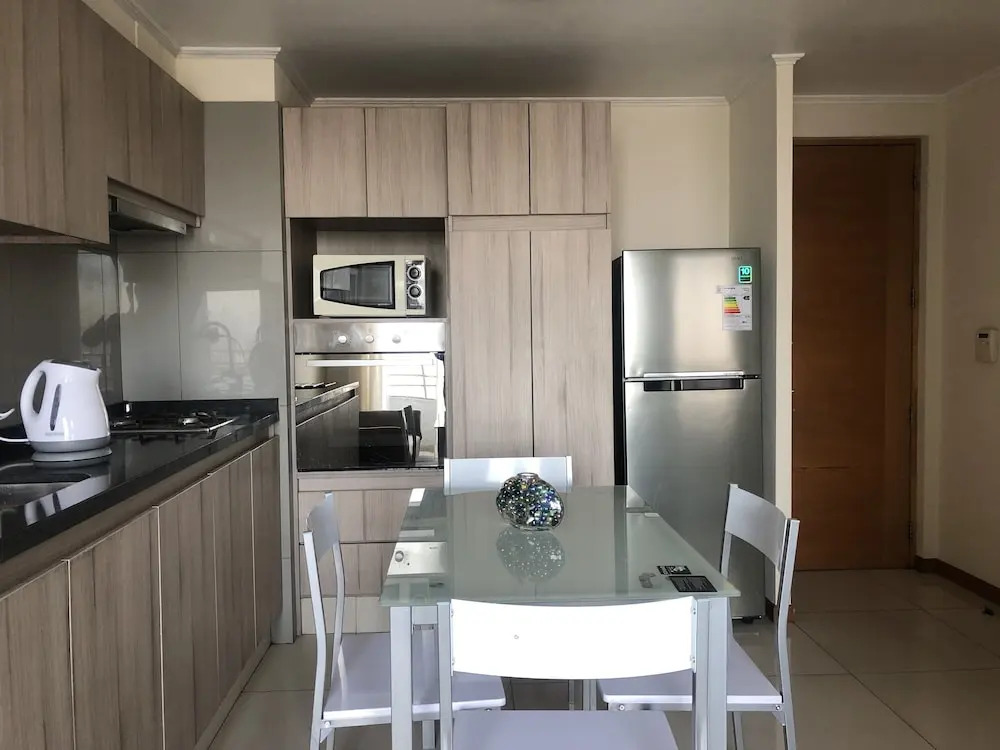 Chic dowtown Santiago for 4 pax