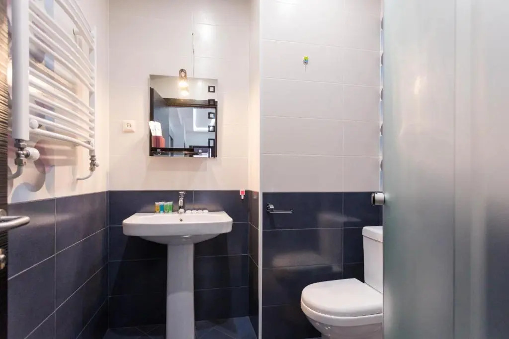 Serviced Apartment on Rustaveli Avenue 9