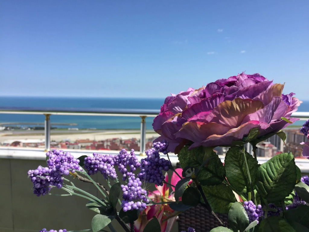 Andalouse Otel