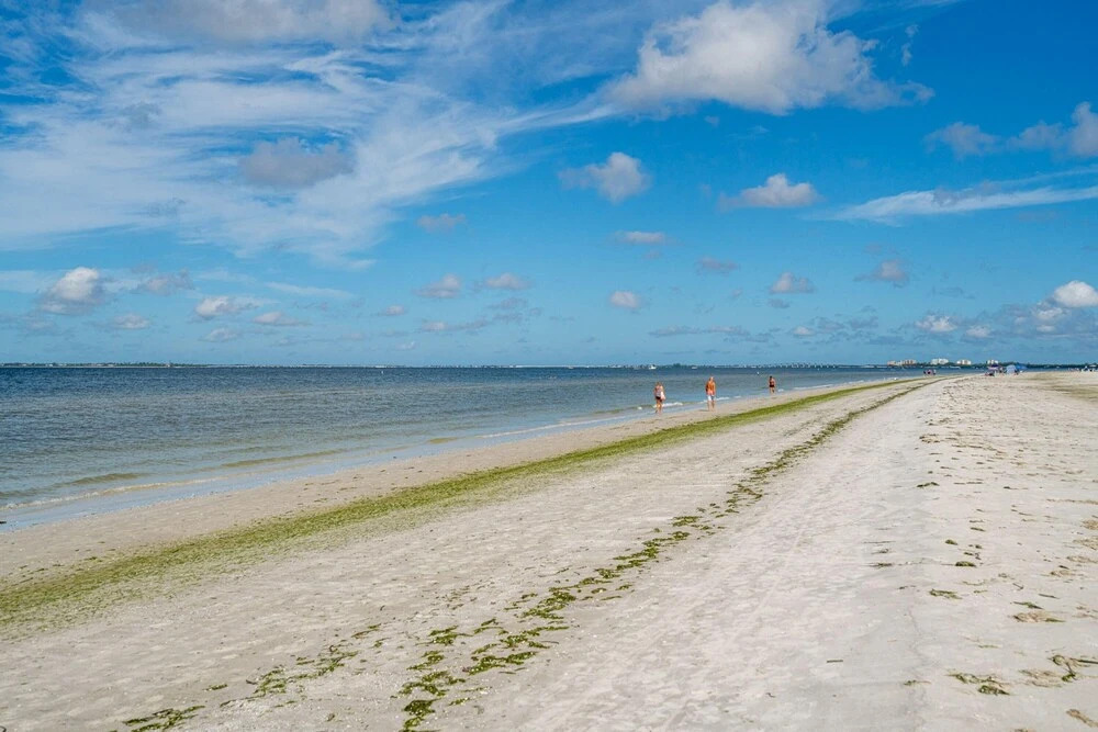 646 Estero Blvd - The Shark Shack by Coastal Vacation Properties