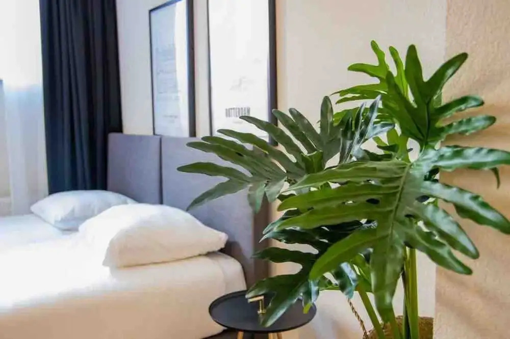 MyCityLofts - Oostzeedijk