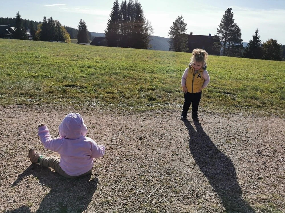 Gasthof zum Kreuz in Furtwangen