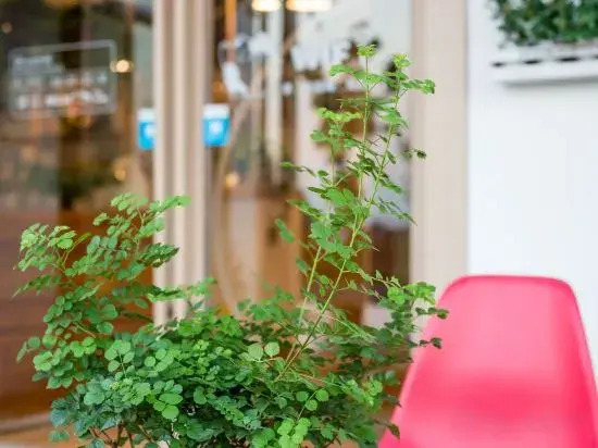 Sanshan Wuli Boutique Hostel