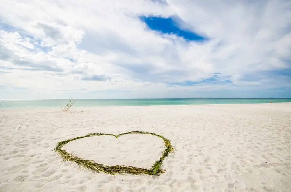 Harrington House Beachfront Bed & Breakfast