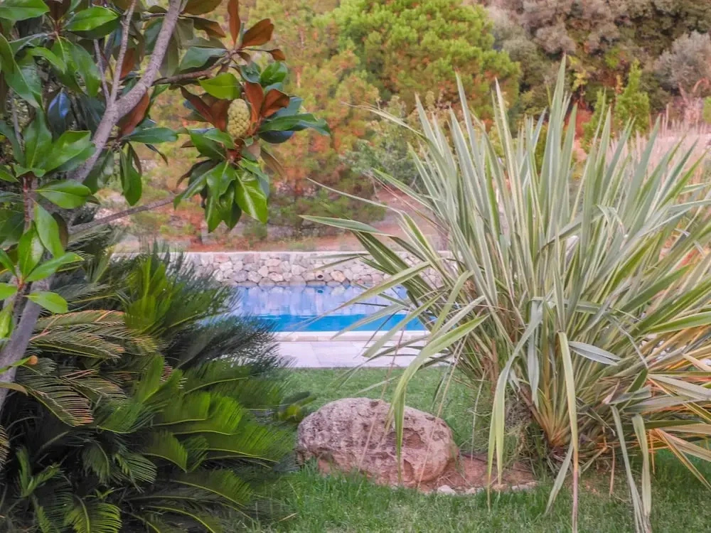 Beautiful Holiday Home in Valldemossa