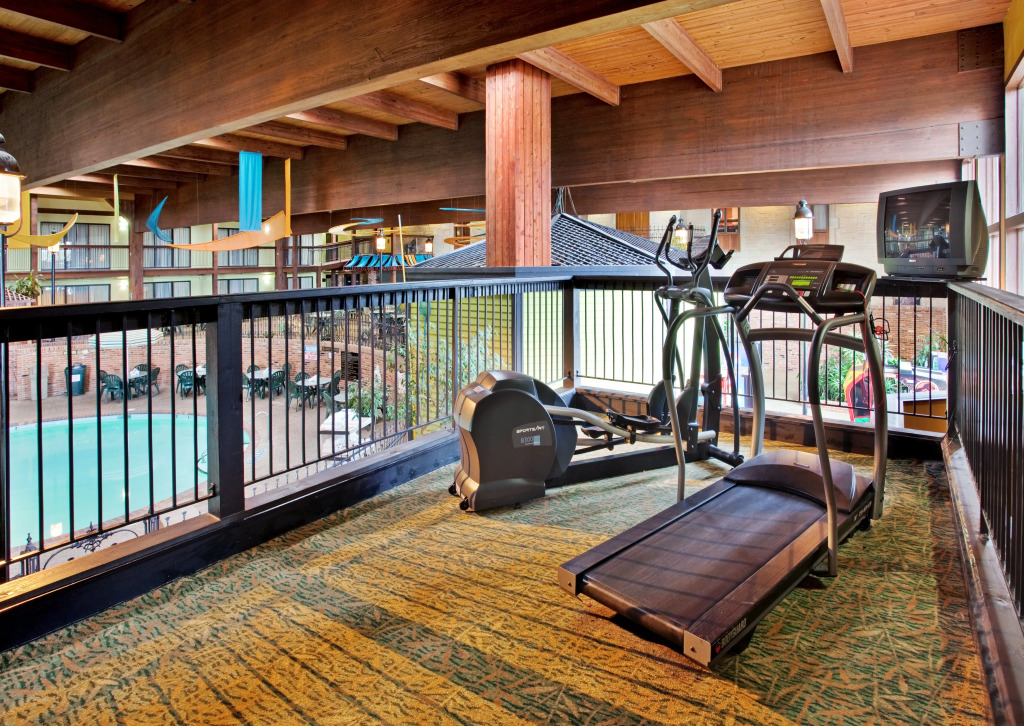 Holiday Inn At Six Flags Saint Louis by IHG