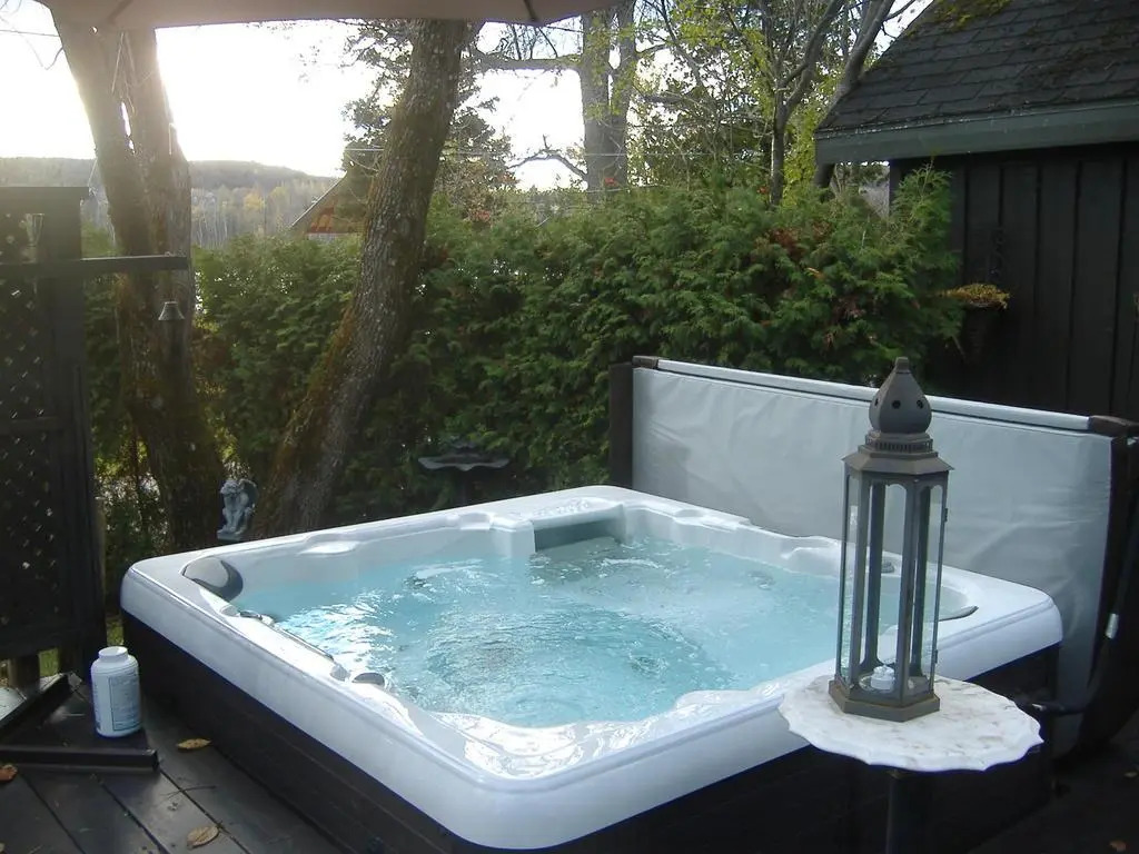 Le petit Manoir Spa et Vue sur rivière St Maurice