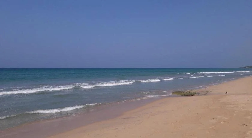 Blue Whale Nilaveli