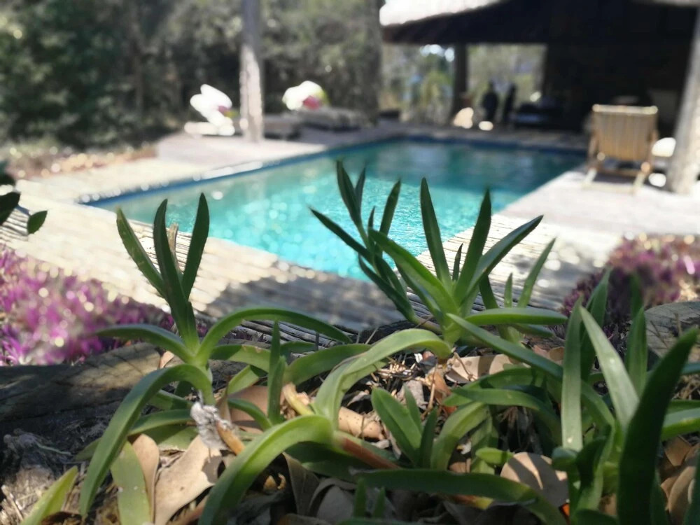 Villa Ukuthula