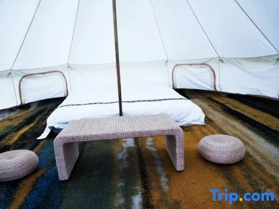 Tengger Desert Yingsha Good - dream Desert Campground