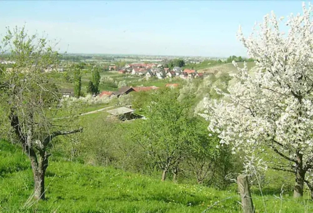 Hotel-Gasthof Rose