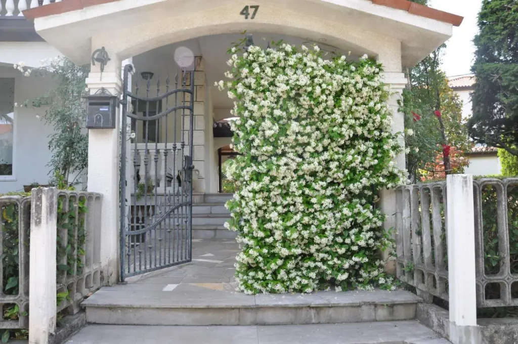 Apartmaji NIKA