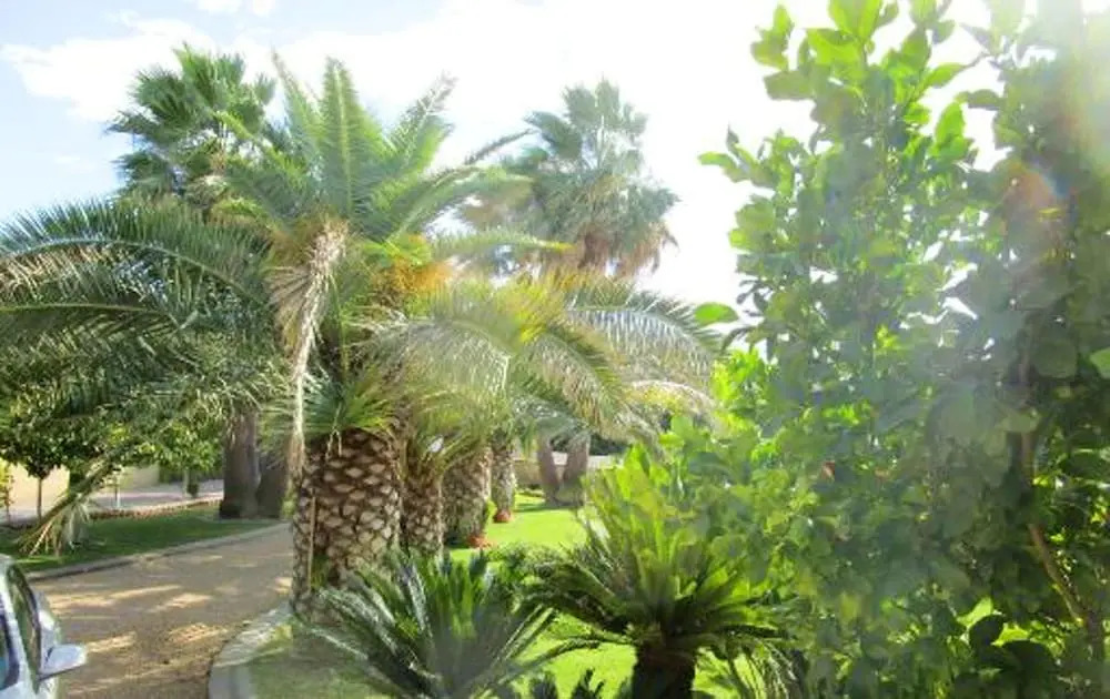 Apartment With 2 Bedrooms in Vias, With Wonderful City View and Enclosed Garden