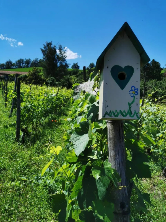 Agriturismo Mondo