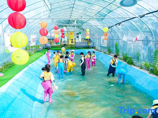 Shanghai Camera Family Camp