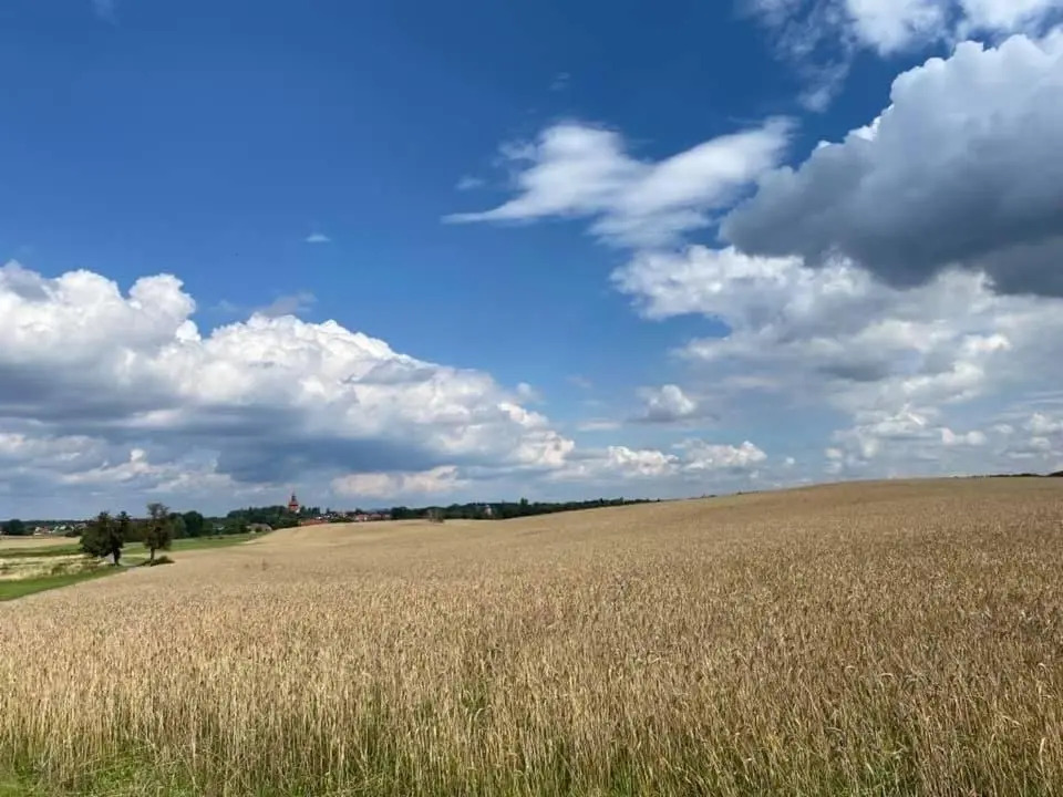 Hof Türke