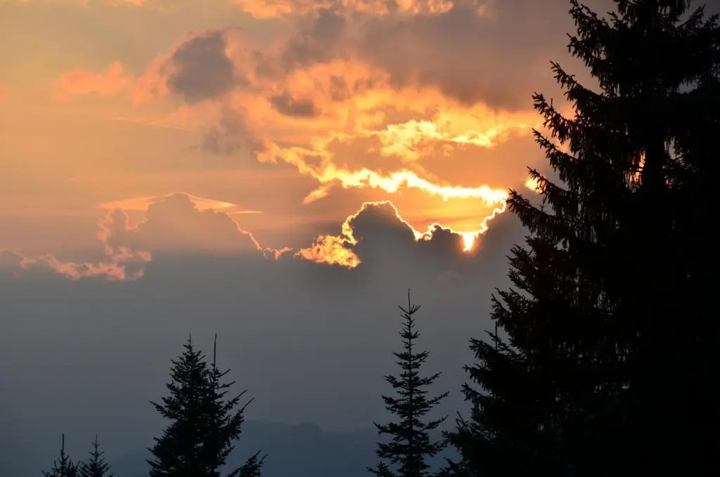 Winklmoos SonnenAlm
