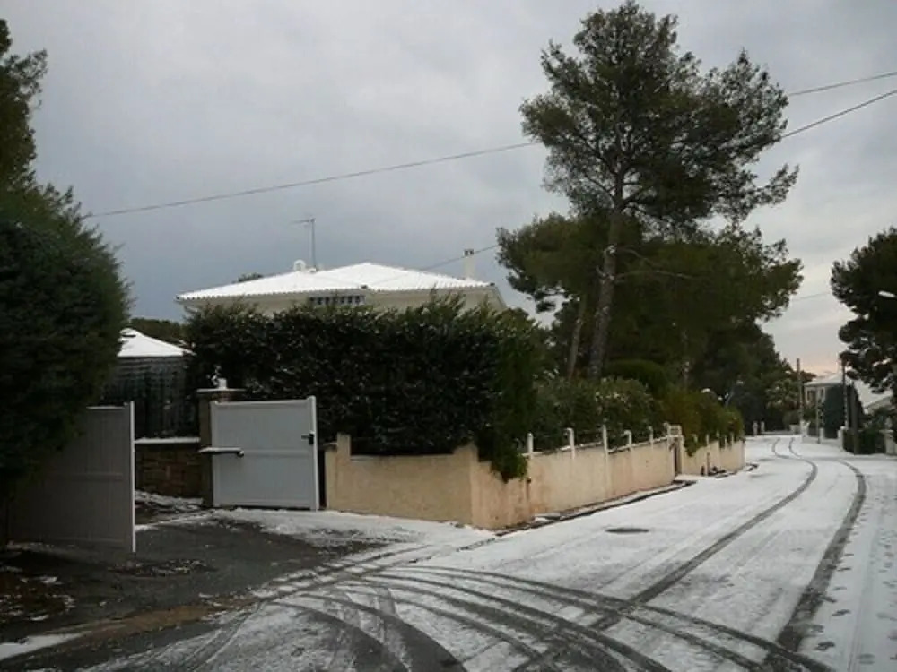 Villa Gecko