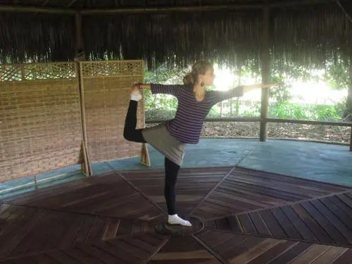 Nature Retreat with Healing Dogs in Brazil
