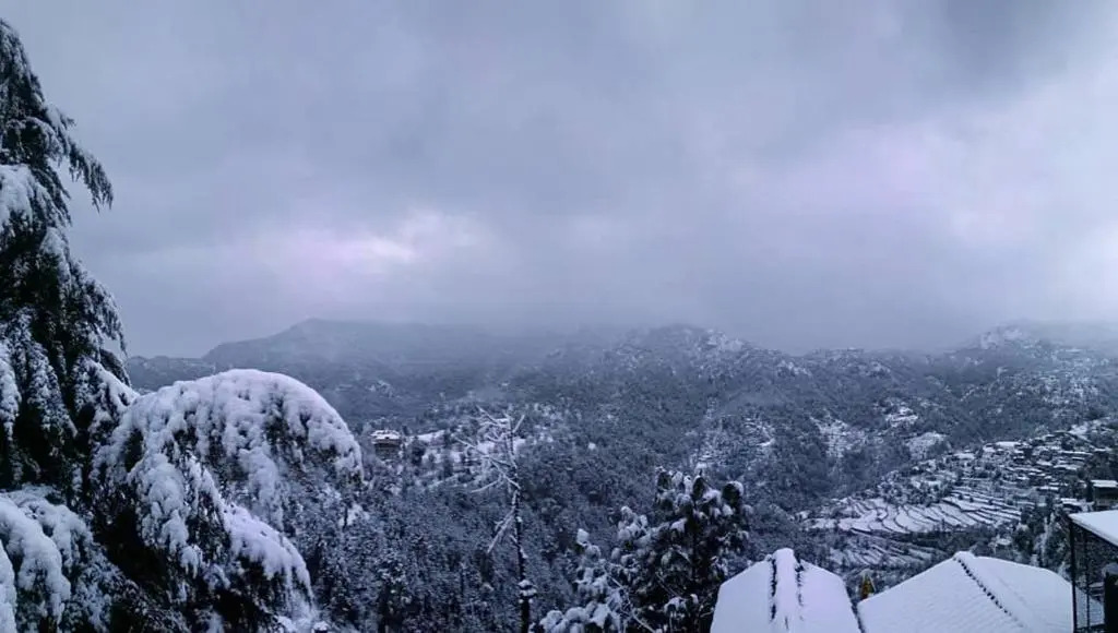 Village View Homestay Shimla