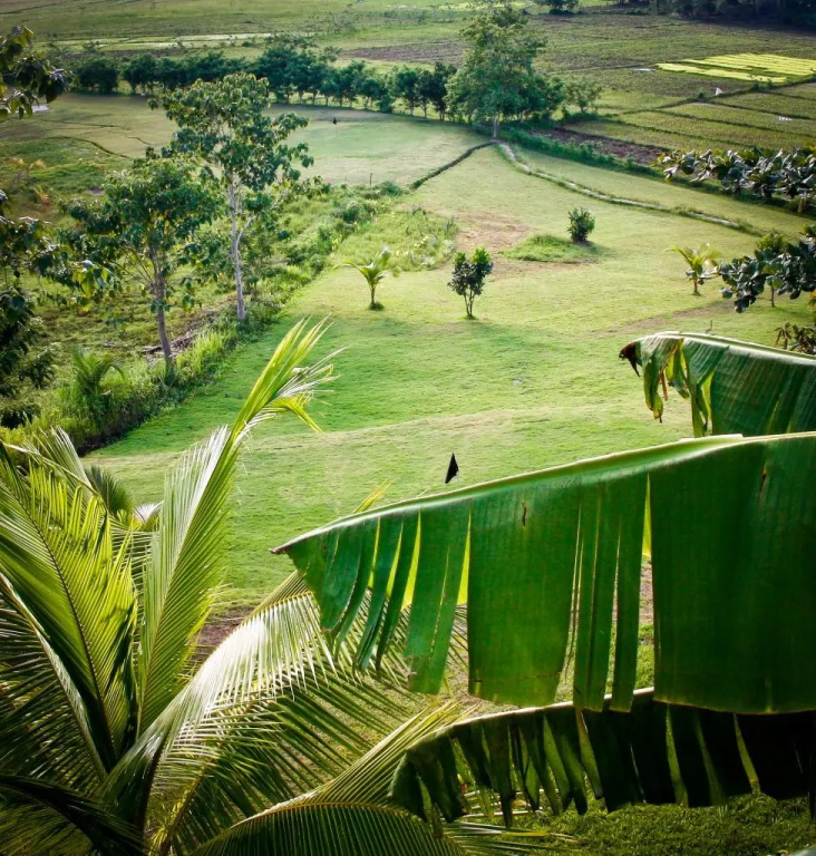 Villa Maya