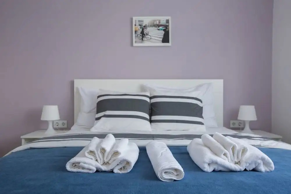 Paw Rooms