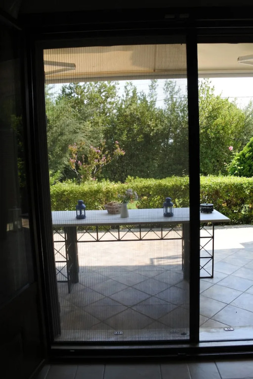 Ninas House