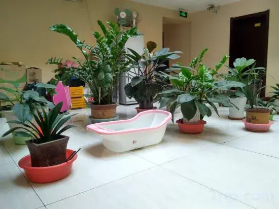 Shunfu Business Hotel