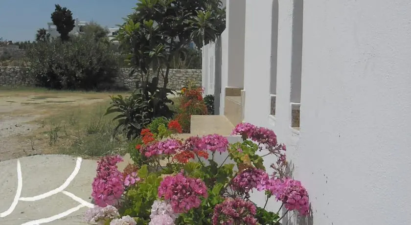Studios Parian Blu