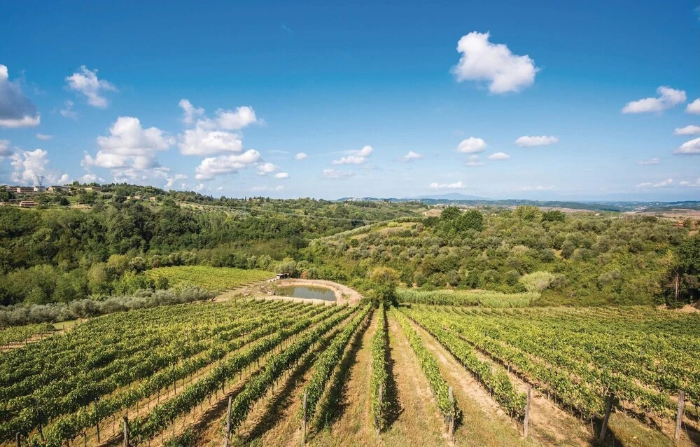 Vin Santo