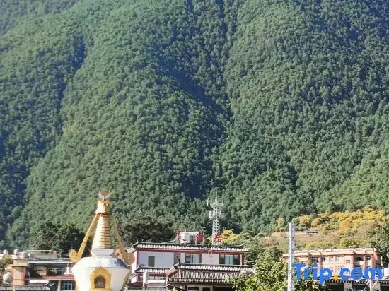 Weixi Chujinju Homestay