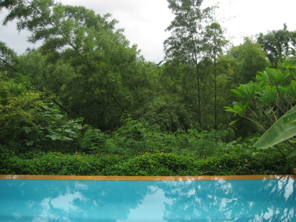 Teakwood villa