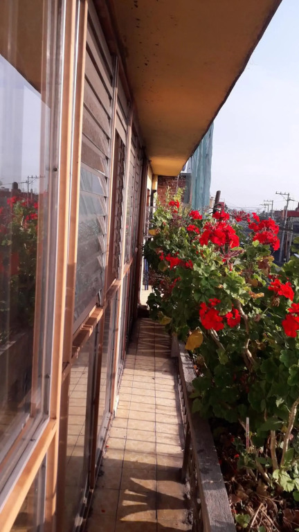 El laberinto hospedaje en casa